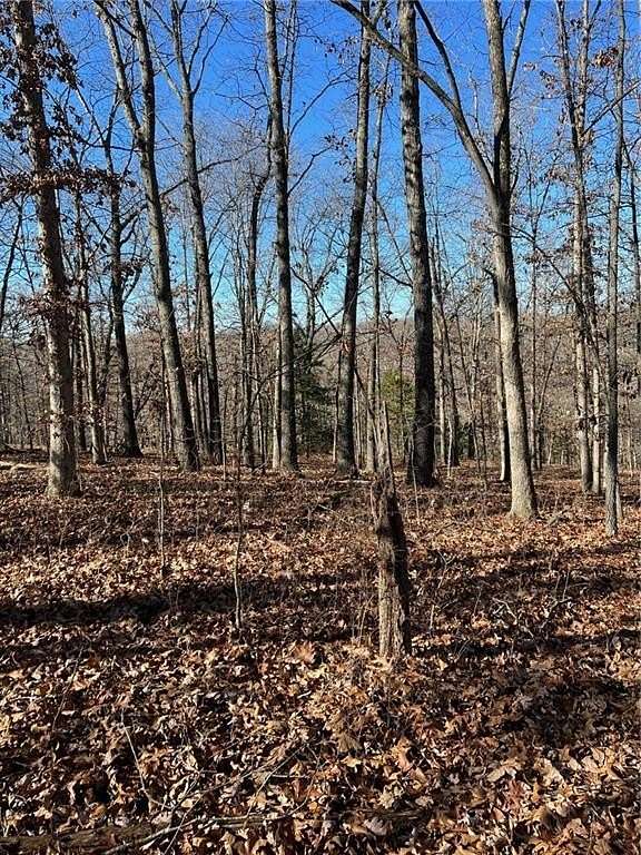 0.29 Acres of Residential Land for Sale in Bella Vista, Arkansas