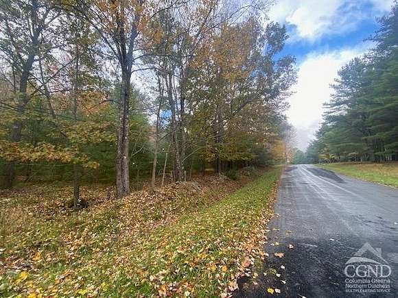 9.9 Acres of Residential Land for Sale in Ashland, New York