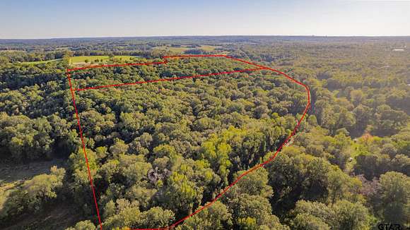 61.8 Acres of Land for Sale in Tyler, Texas