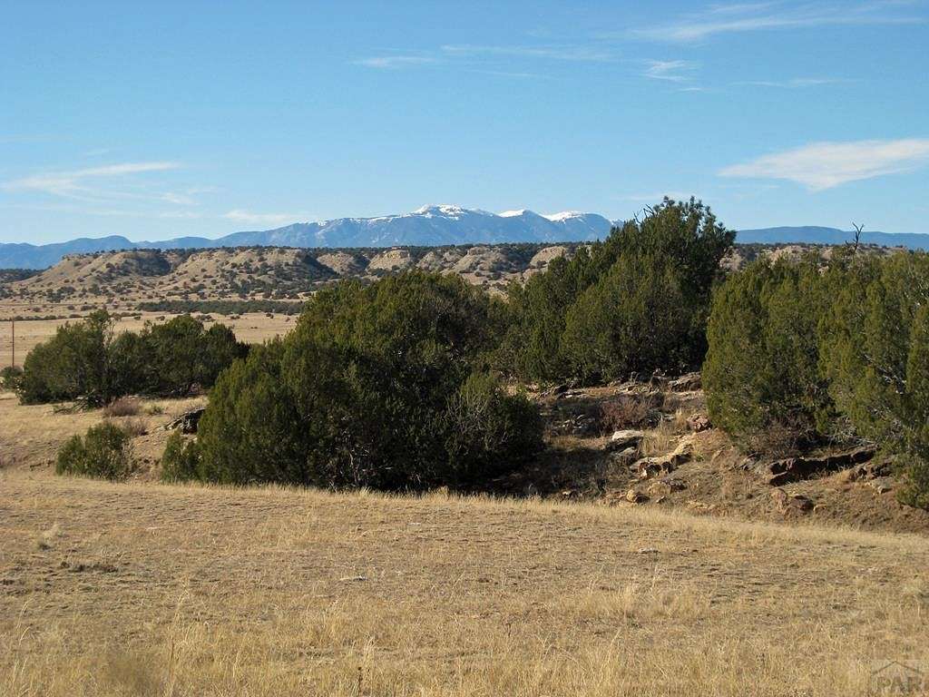 35 Acres of Agricultural Land for Sale in Rye, Colorado