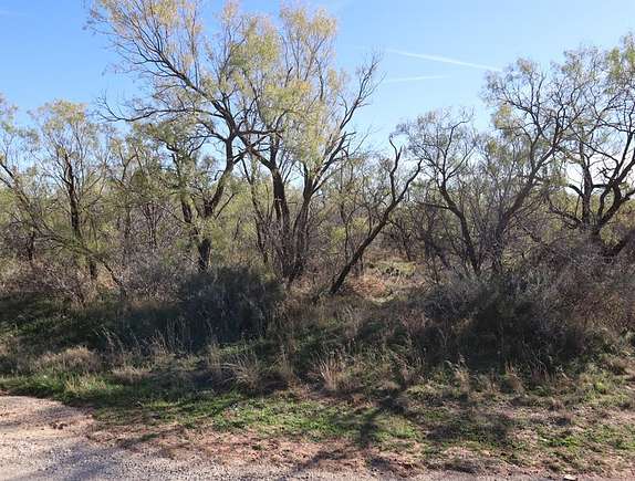 0.48 Acres of Residential Land for Sale in Sweetwater, Texas