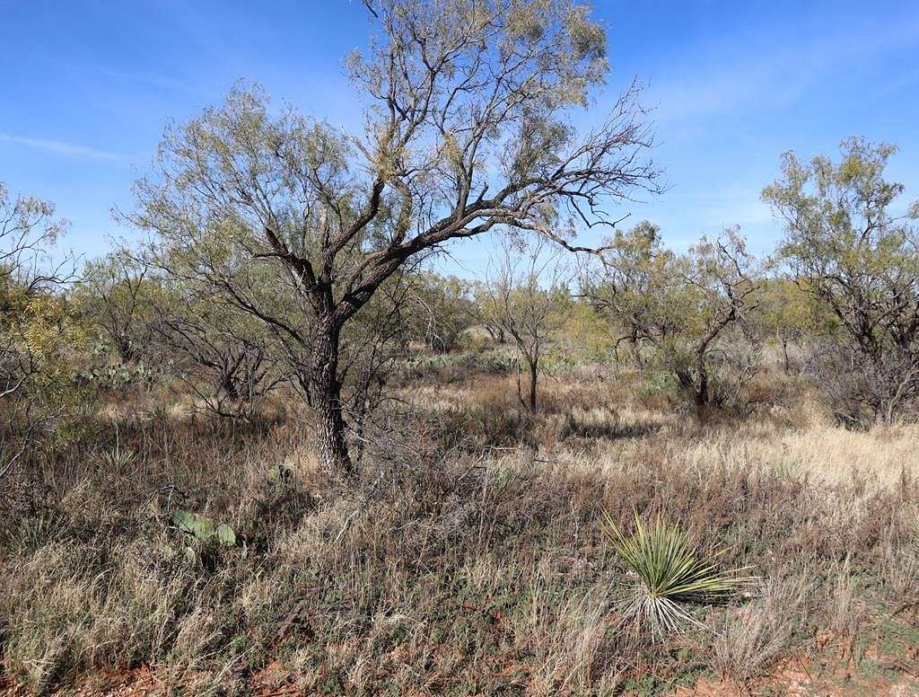 0.58 Acres of Residential Land for Sale in Sweetwater, Texas