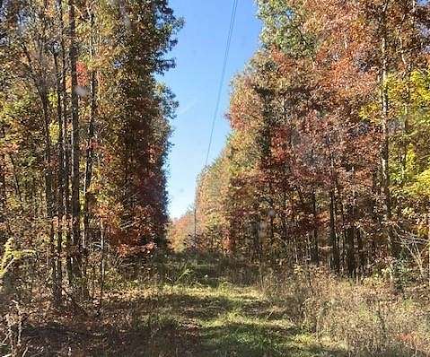 30 Acres of Land for Sale in Clarkrange, Tennessee