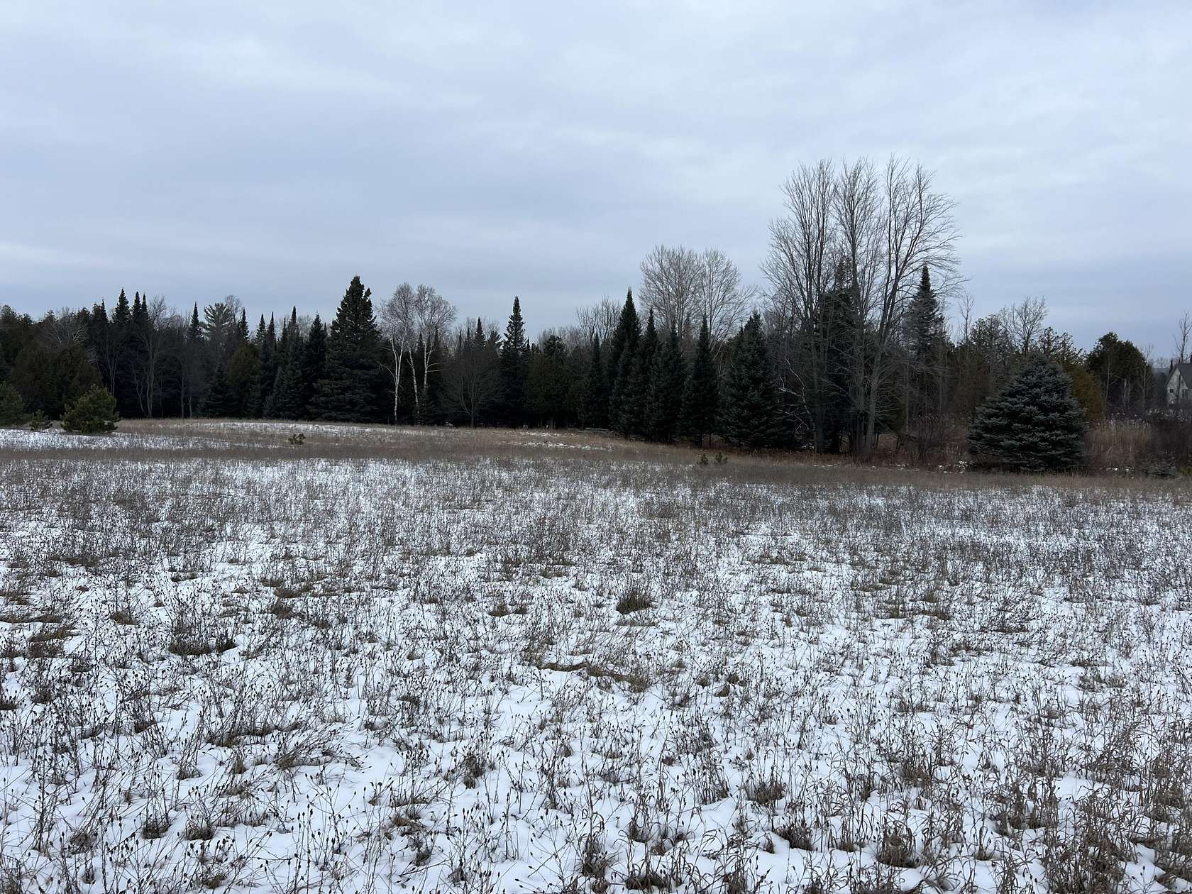 19.3 Acres of Land for Sale in Gaylord, Michigan