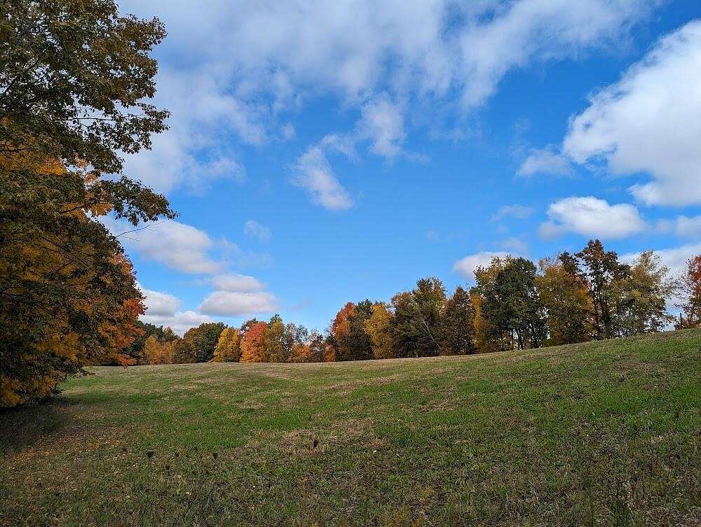 10 Acres of Recreational Land for Sale in Trufant, Michigan