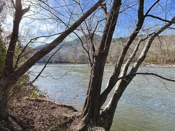 23 Acres of Land for Sale in Del Rio, Tennessee