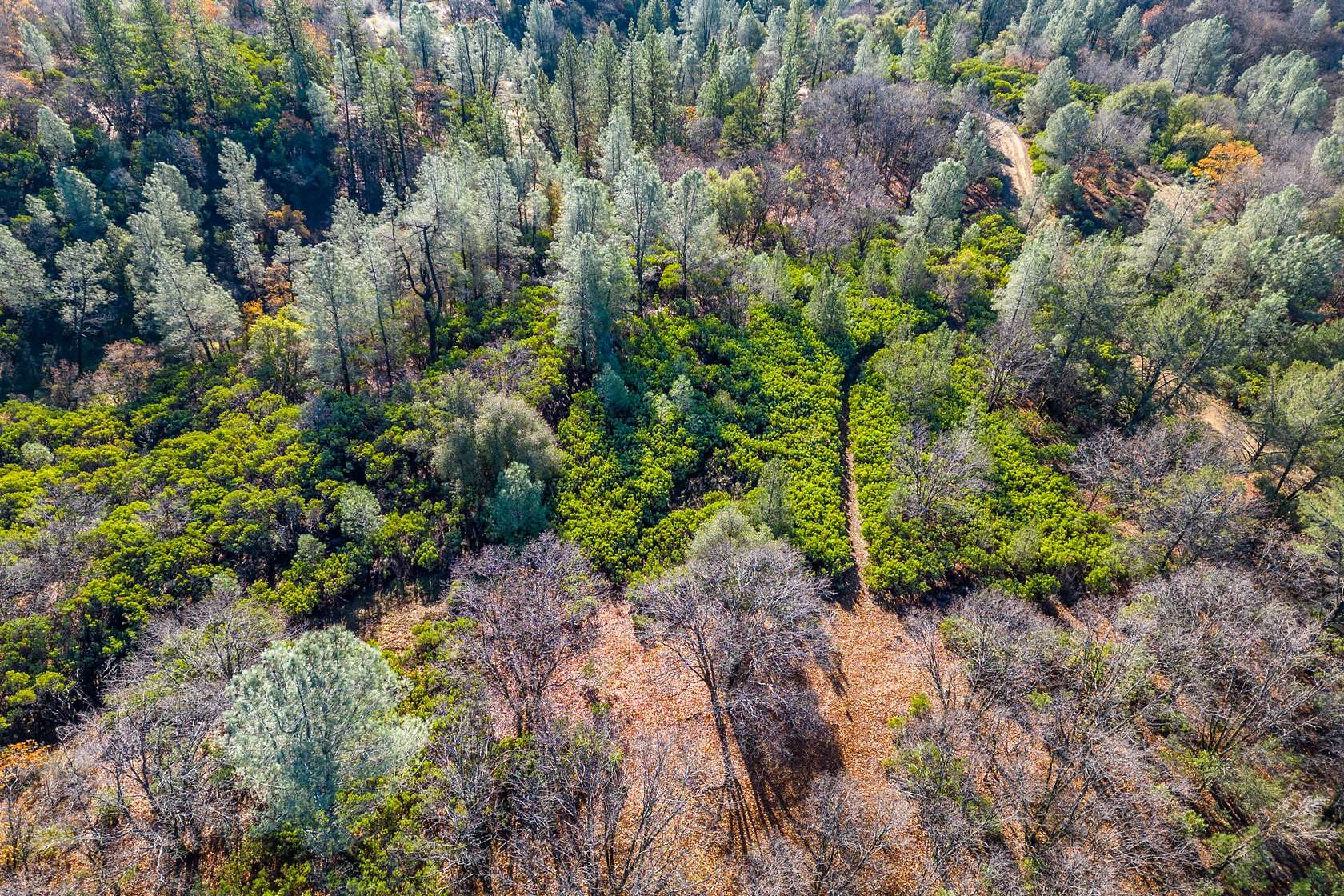 10 Acres of Residential Land for Sale in Bella Vista, California