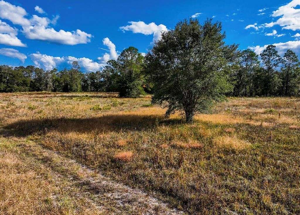 2.7 Acres of Land for Sale in Old Town, Florida