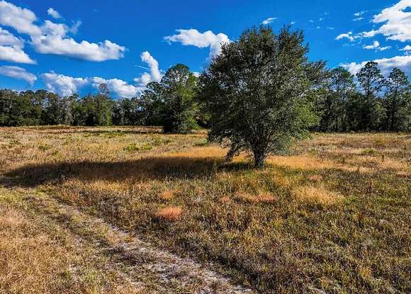 2.71 Acres of Land for Sale in Old Town, Florida