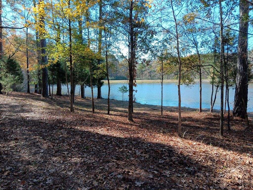 3.1 Acres of Residential Land for Sale in Cataula, Georgia