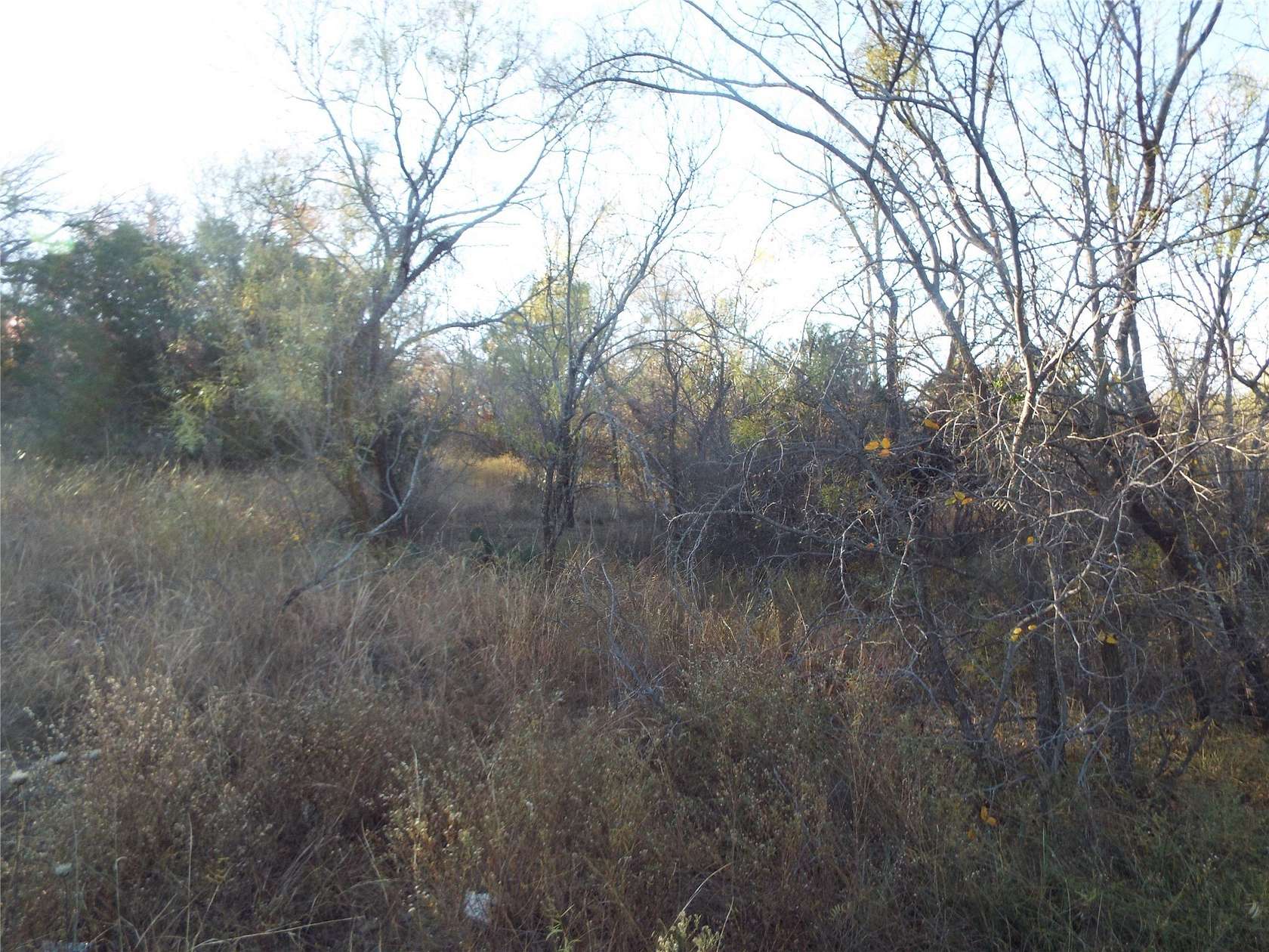 0.23 Acres of Residential Land for Sale in Brownwood, Texas