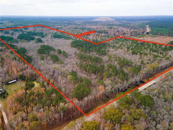 125 Acres of Agricultural Land for Sale in Jesup, Georgia