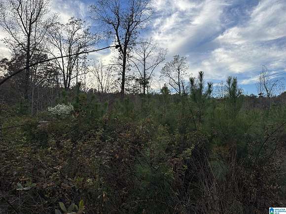 9.75 Acres of Residential Land for Sale in Morris, Alabama