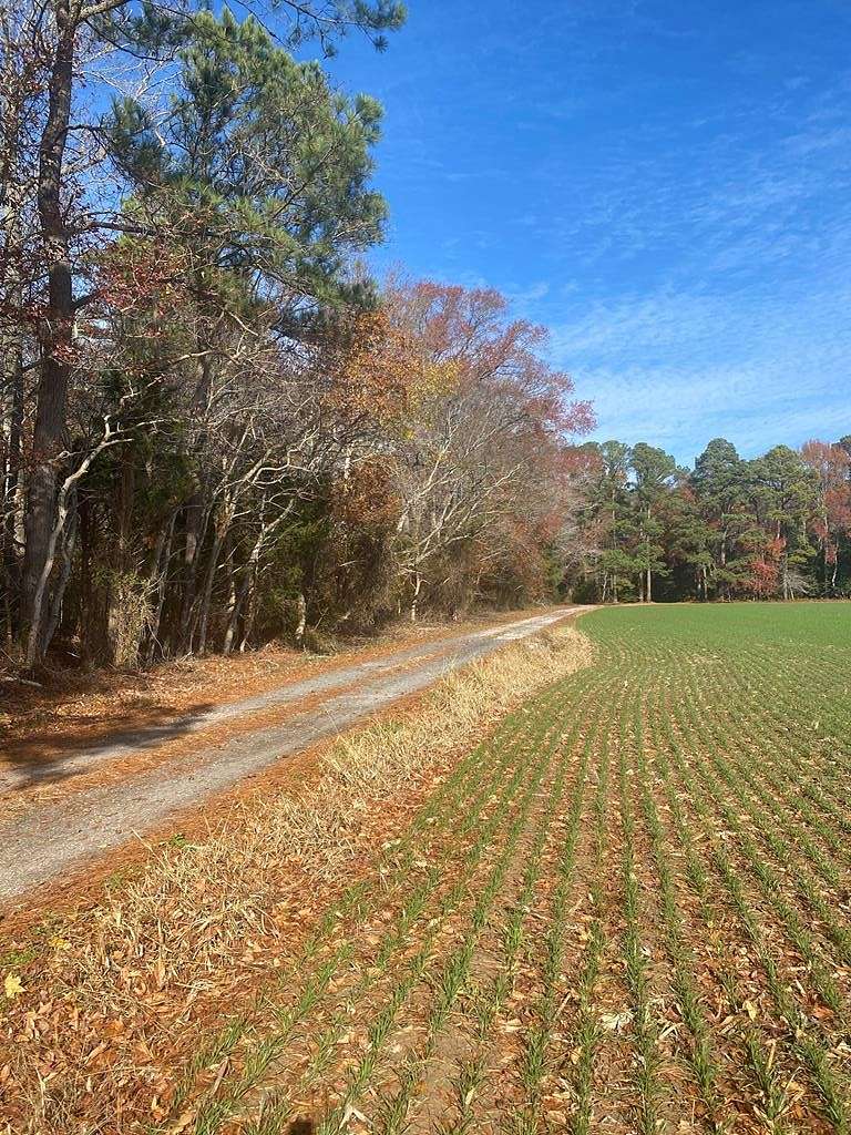8.3 Acres of Land for Sale in Belle Haven, Virginia