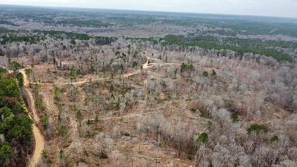 28 Acres of Recreational Land for Sale in Union Church, Mississippi
