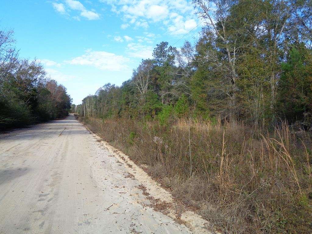 12.3 Acres of Land for Sale in Blakely, Georgia
