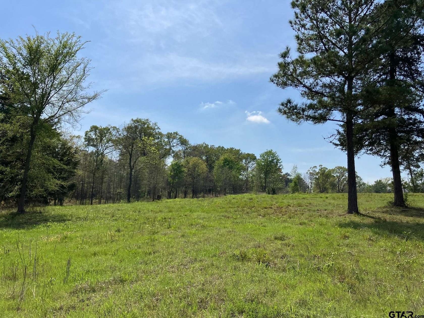 3.9 Acres of Residential Land for Sale in Winona, Texas
