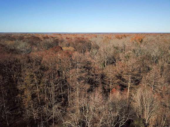 609 Acres of Recreational Land for Sale in Sparkman, Arkansas