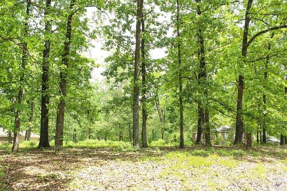 1.1 Acres of Residential Land for Sale in Texarkana, Texas