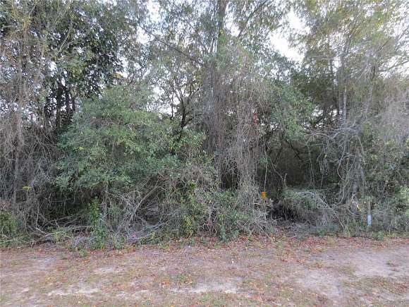 1.8 Acres of Commercial Land for Sale in Silver Springs, Florida