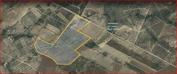 Land for Sale in Roma, Texas