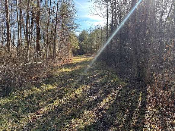 14.56 Acres of Land for Sale in Robbins, Tennessee