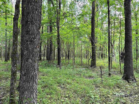 20 Acres of Land for Sale in Rossville, Tennessee