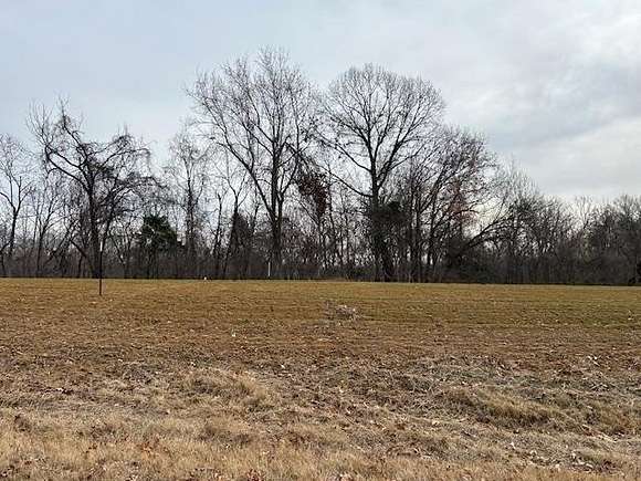 5.2 Acres of Land for Sale in Henning, Tennessee