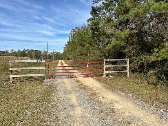 80.9 Acres of Recreational Land for Sale in Poplarville, Mississippi