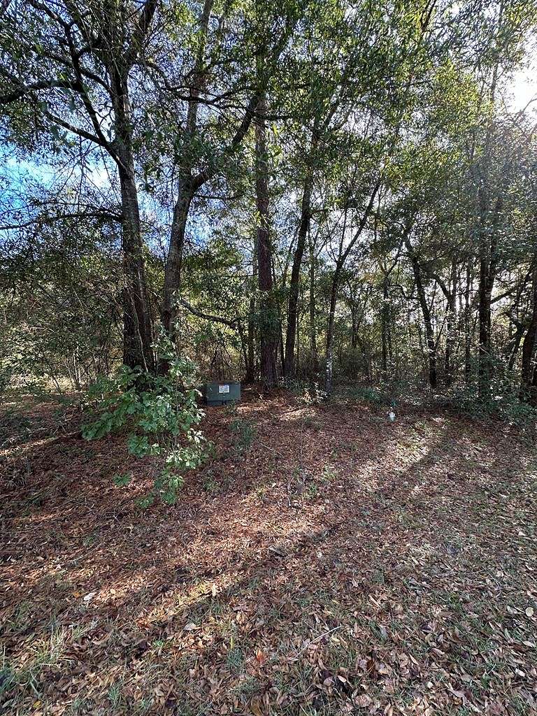 1.3 Acres of Residential Land for Sale in Bainbridge, Georgia