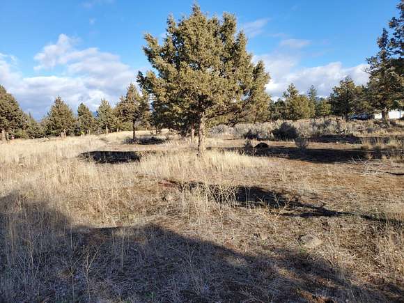 0.5 Acres of Residential Land for Sale in Weed, California