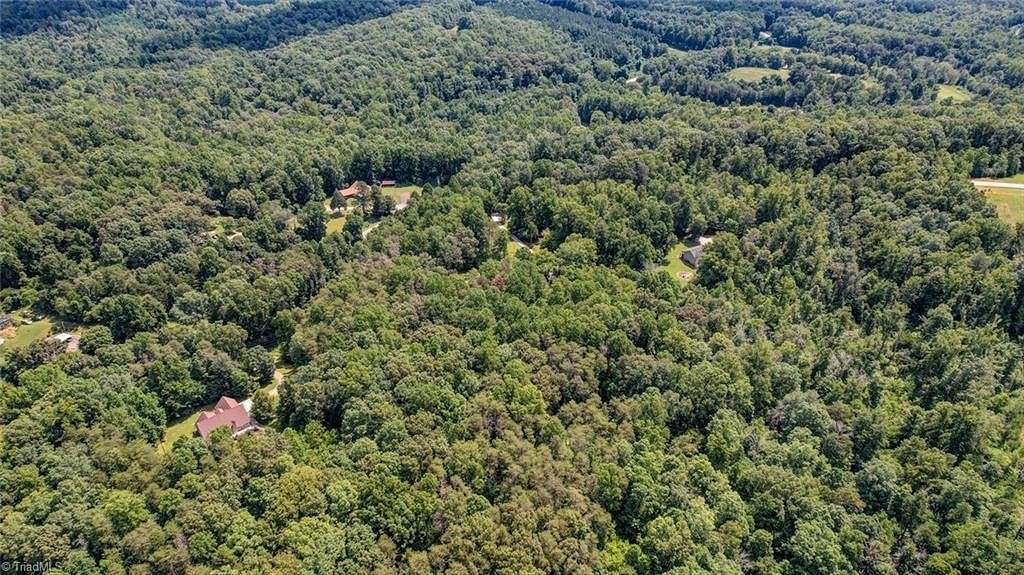 67.7 Acres of Land for Sale in Madison, North Carolina
