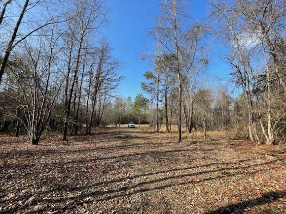 70.4 Acres of Recreational Land for Sale in Malvern, Arkansas