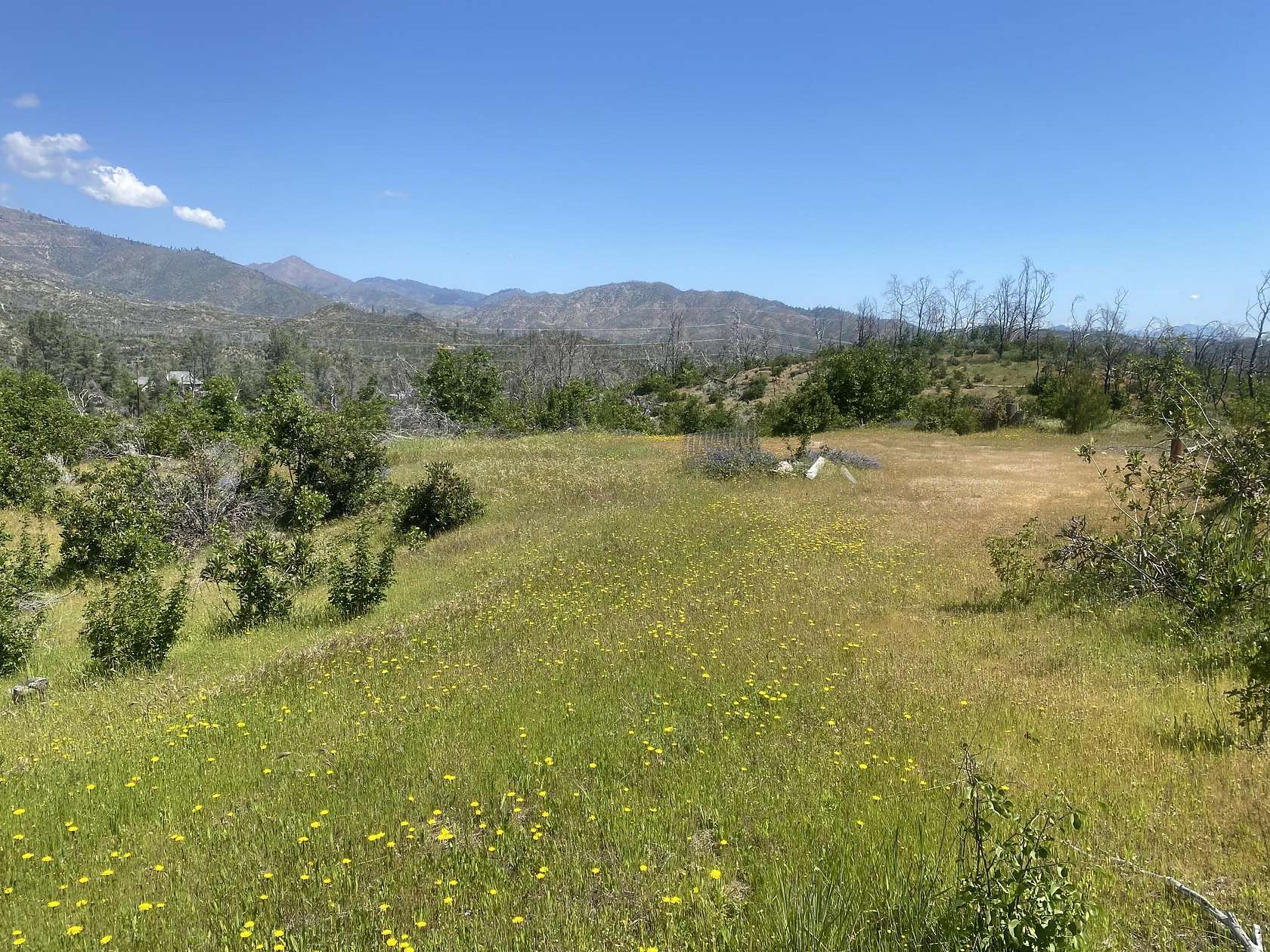 24 Acres of Land for Sale in Shasta, California