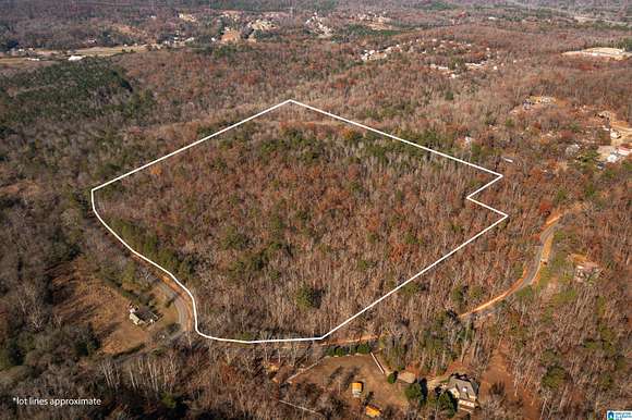 35 Acres of Land for Sale in Pinson, Alabama