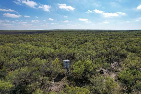 43.1 Acres of Recreational Land & Farm for Sale in Crystal City, Texas