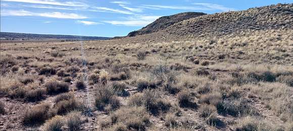 1.8 Acres of Residential Land for Sale in Chambers, Arizona