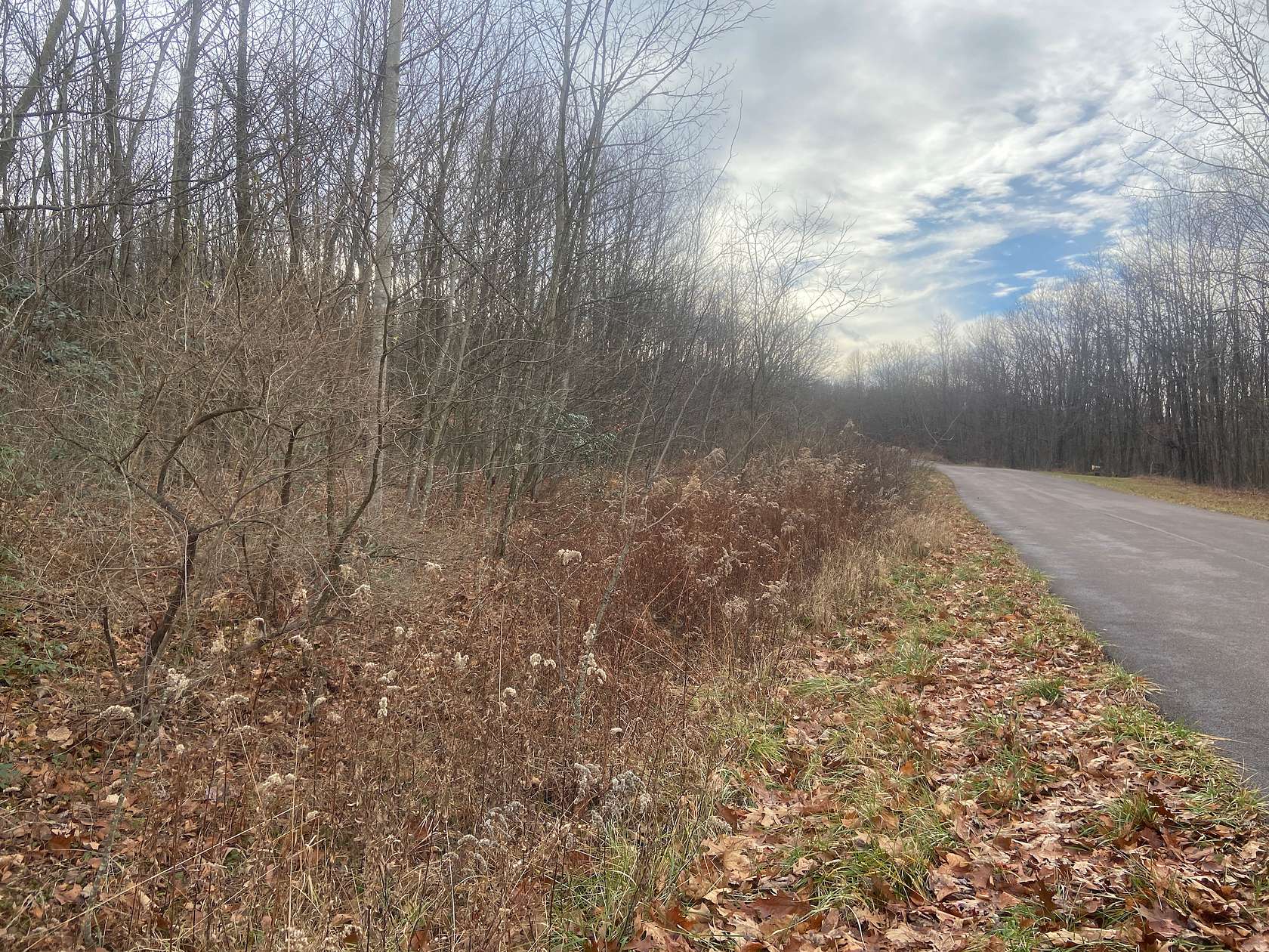 3 Acres of Land for Sale in Grantsville, Maryland