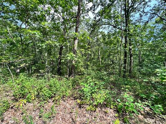 0.11 Acres of Land for Sale in Lincoln, Missouri
