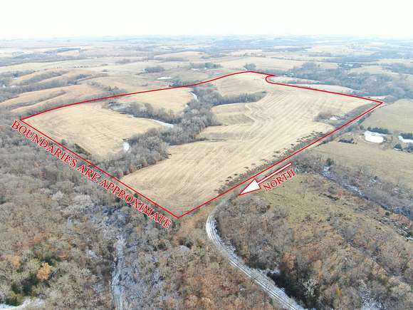 81.5 Acres of Land for Sale in Maryville, Missouri