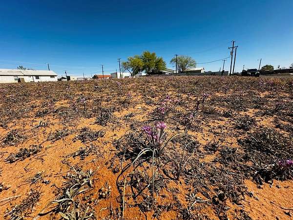0.08 Acres of Land for Sale in Andrews, Texas