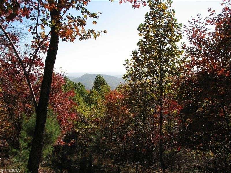 11.7 Acres of Land for Sale in Hays, North Carolina