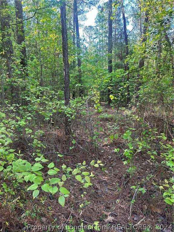 10.01 Acres of Land for Sale in Whispering Pines, North Carolina