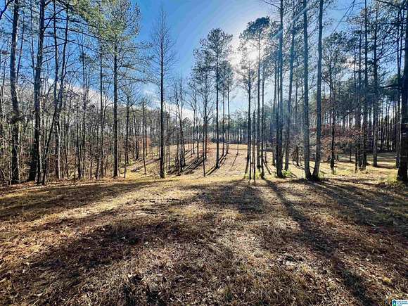 9.1 Acres of Residential Land for Sale in Chelsea, Alabama