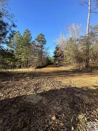 79.8 Acres of Recreational Land for Sale in Bivins, Texas