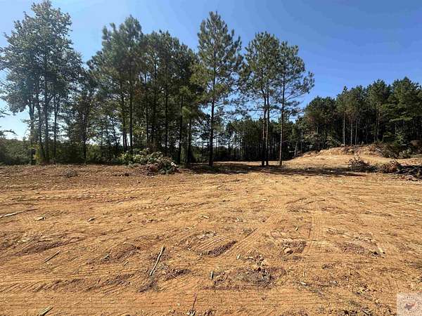 79.8 Acres of Land for Sale in Bivins, Texas
