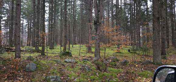 47.5 Acres of Recreational Land for Sale in Potsdam, New York