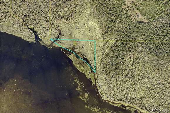 13 Acres of Recreational Land for Sale in Lake Panasoffkee, Florida