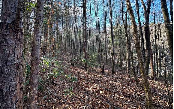 5.7 Acres of Commercial Land for Sale in Robbinsville, North Carolina