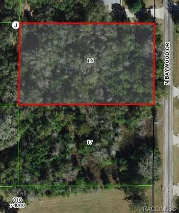 0.99 Acres of Residential Land for Sale in Hernando, Florida
